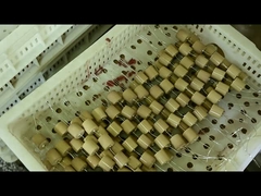 Condensateur en céramique à haute tension de 40.5kVAC-100pF 4000V pour l'isolateur capacitif